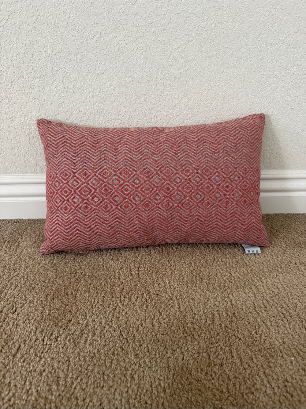 Elaine Smith Designer Outdoor Lumbar Pillow 12x20 Coral Gray NWOT